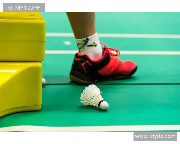 深度对话：赵敏如何在羽毛球赛场上追逐梦想与挑战人生